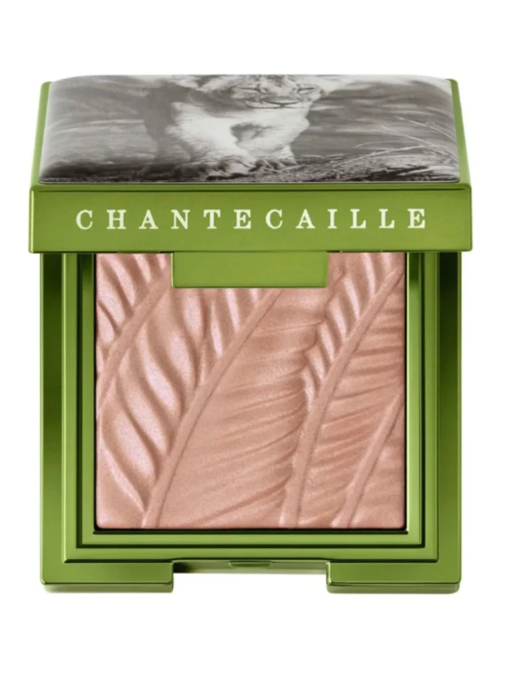 NWT. Chantecaille Luminescent Eye Shade Narika, Lion Collection